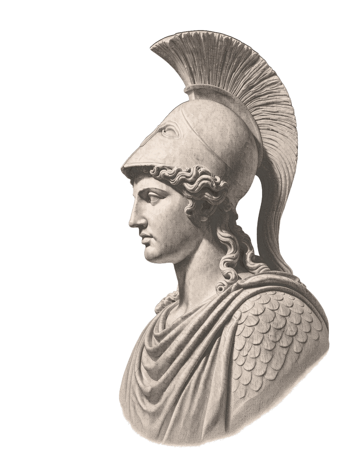 Classical marble bust of Athena in profile, helmeted, emblem of judgment